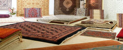 carpet cleaning