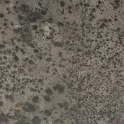 mold seen on the ceiling