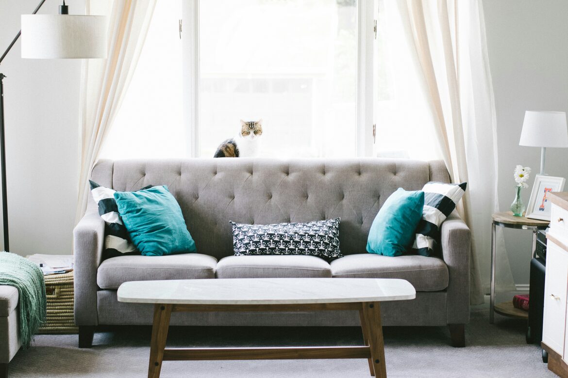 fabric sofa cleaning services