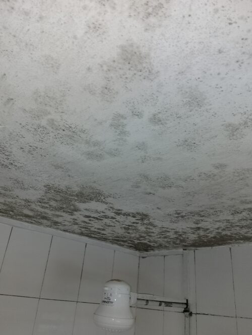 Large mould area