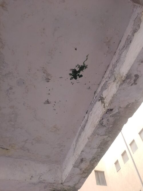 water damage resulting to mold growth